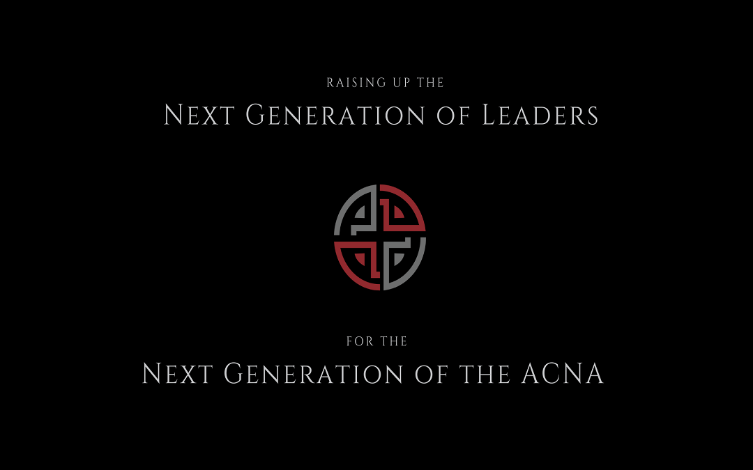 What is the Next Generation Leadership Initiative?